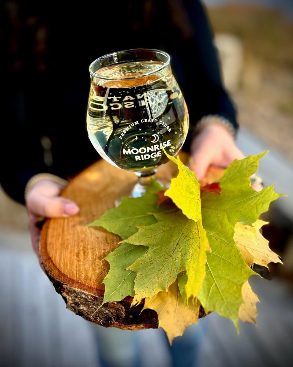 PortPub's tweet image. Moonrise Ridge’s premium pear cider on tap at The Port Pub &amp;amp; Bistro and The Port Taproom. 🌾 Fresh, flavorful, and oh-so-refreshing – the perfect blend of autumn in a glass. 🍐 

#MoonriseRidge #PearCider #CraftCider #AutumnVibes #ThePortPub #CiderOnTap #LocalFlavor #TasteOfFall