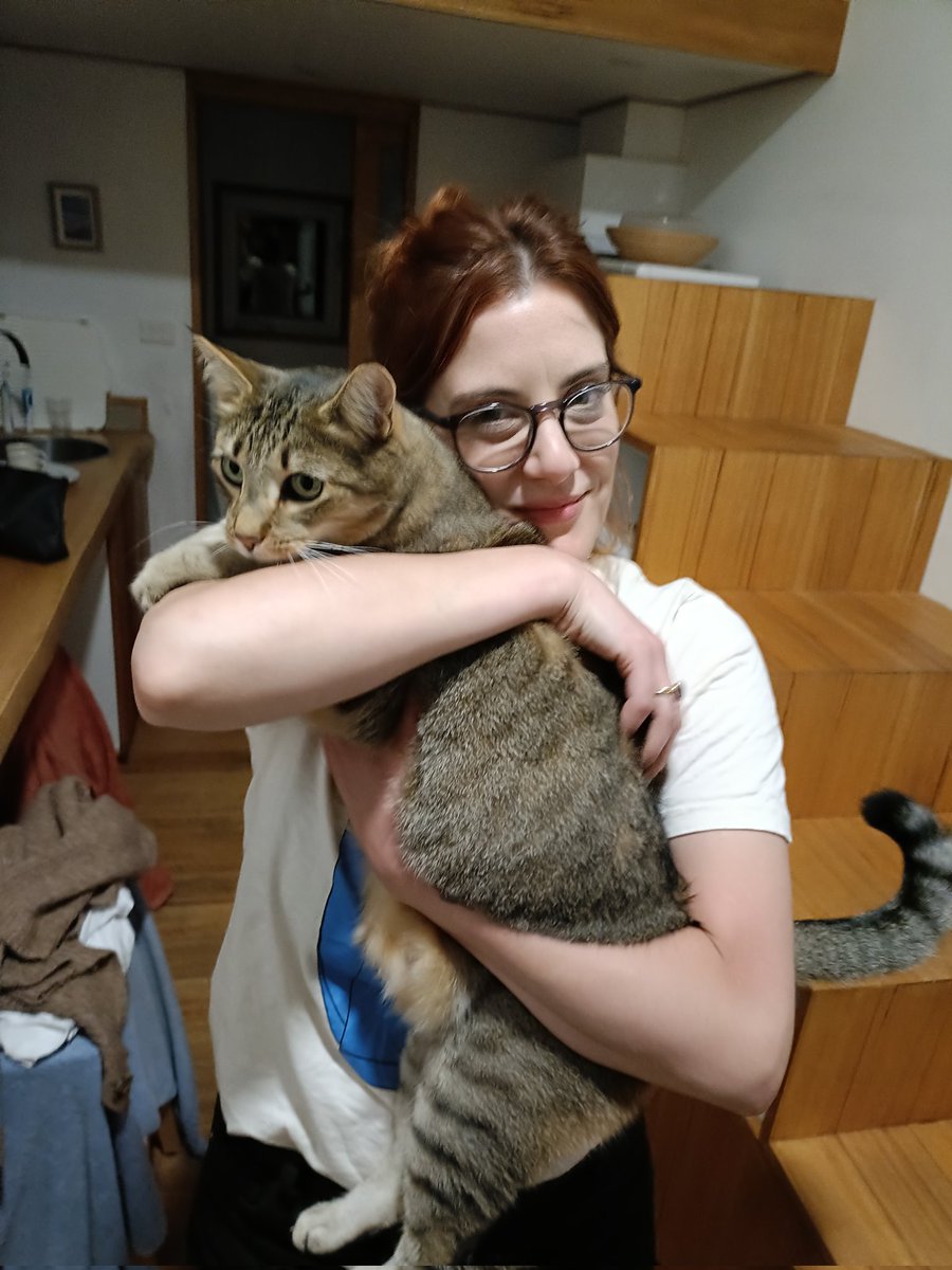 As far as I can tell, this cat owns the Airbnb tiny house we're staying in. Jumped scared the hell outta me this morning when he leapt in through the open bathroom window