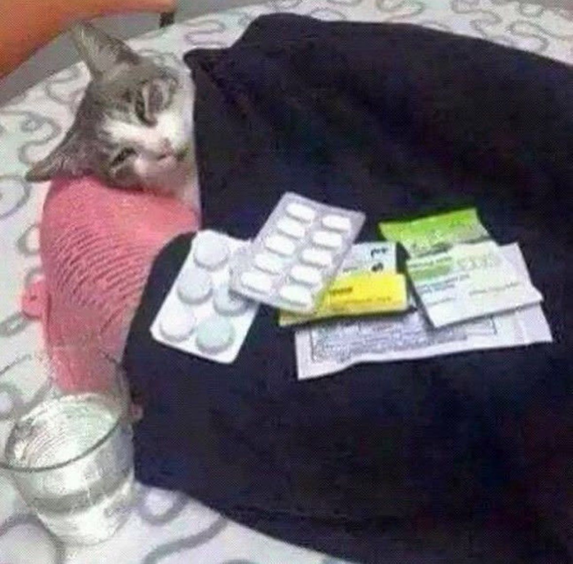PostsOfCats's tweet photo. he has a cold 😔 https://t.co/cVqoBDqqQl