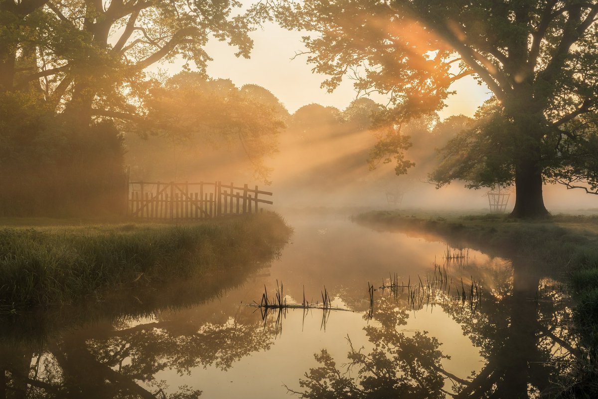 It’s Day 28 of my futile one-woman crusade to keep real images popping up on your feed rather than AI.

Remember when the sun would shine in the UK? No, me neither. Feels like it’s been forever, so here’s some light from my feed to yours. An English morning in Warwickshire.