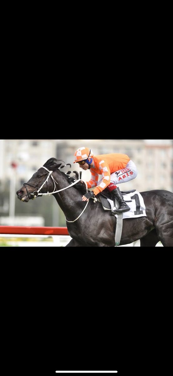 Bizi tekrar yarış izlettin,Veliefendi’ye getirttin..Teşekkürler Burgas❤️