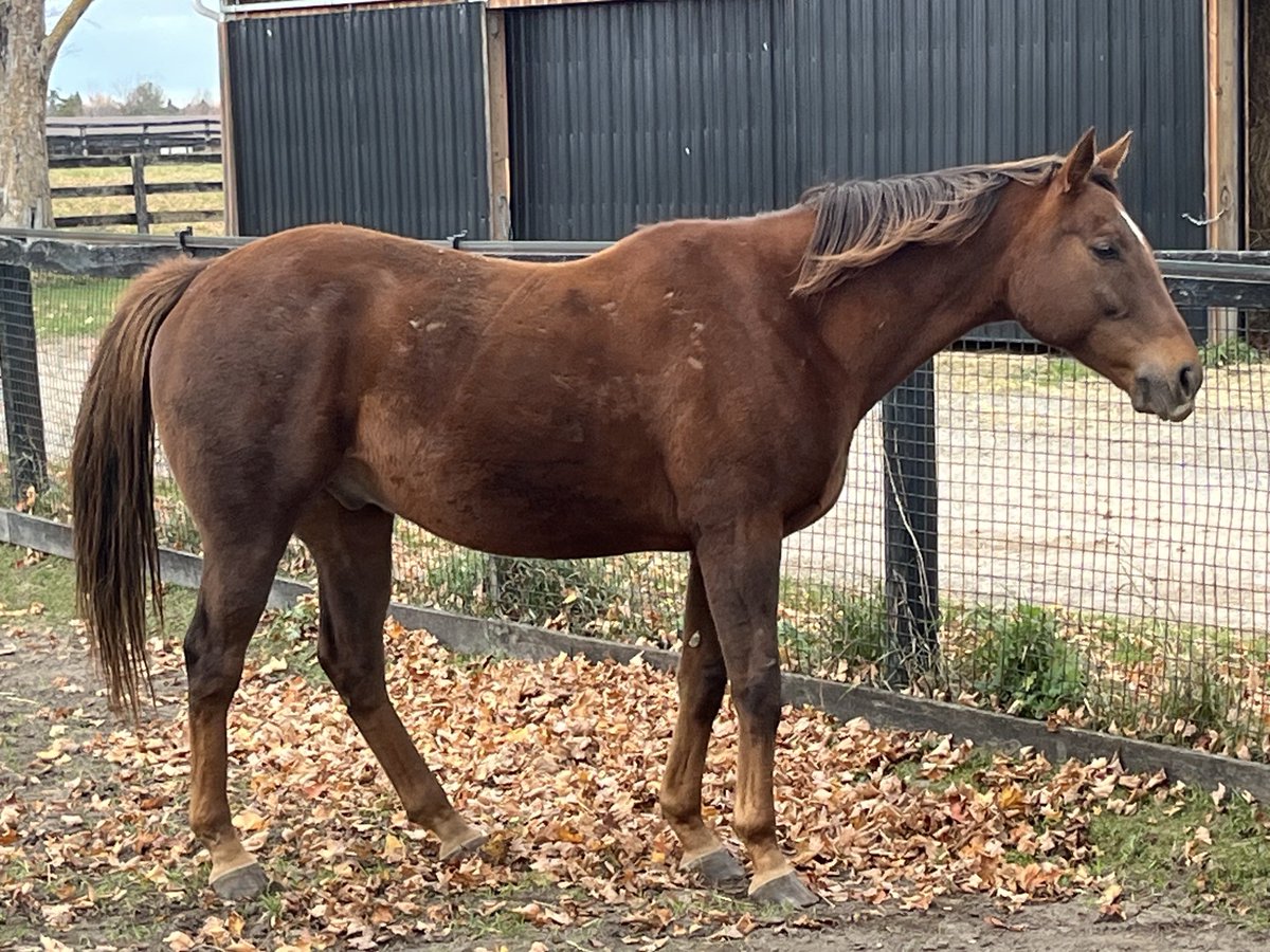 Cooler Mike looking good at Longrun Retirement