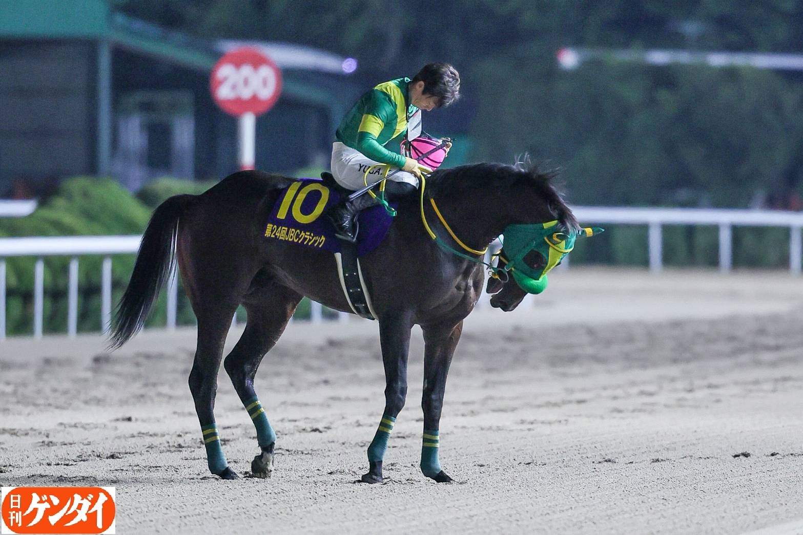 日刊ゲンダイ 競馬 on X: 日刊ゲンダイ 競馬 on X:
