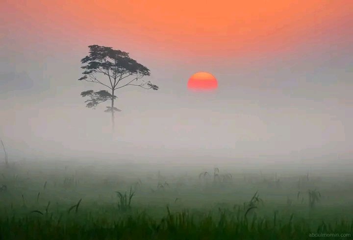 wasi_nabe's tweet photo. Winter is coming.... in Bangladesh 
📷 Abdul Momin https://t.co/1fOfF7l5Uc