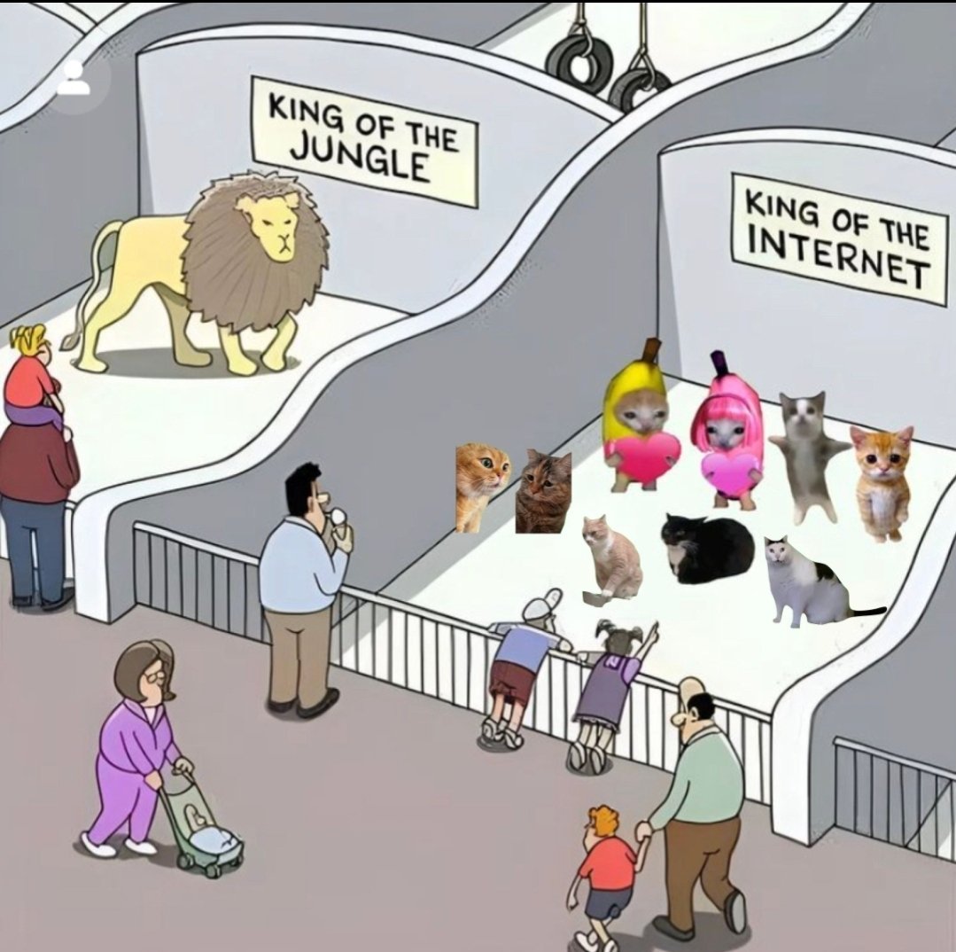 Cats rule the internet