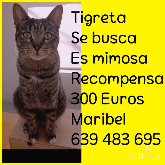 Pot estar a Banyoles (Girona) o a Barcelona.