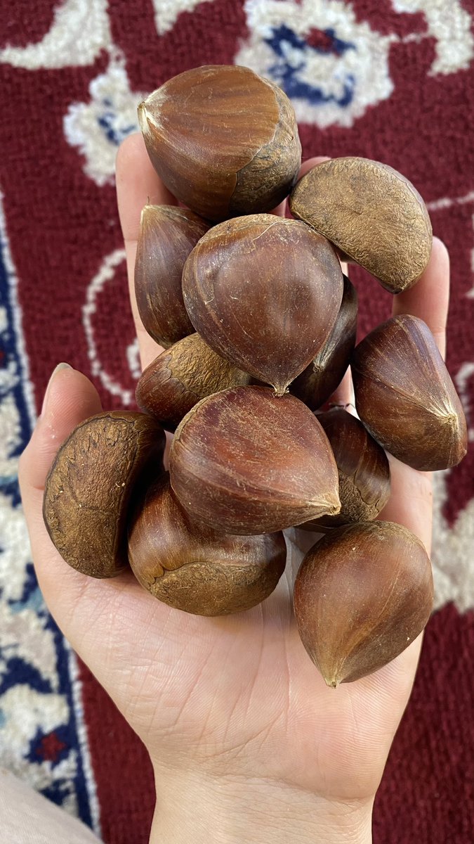 تهاني tweet media