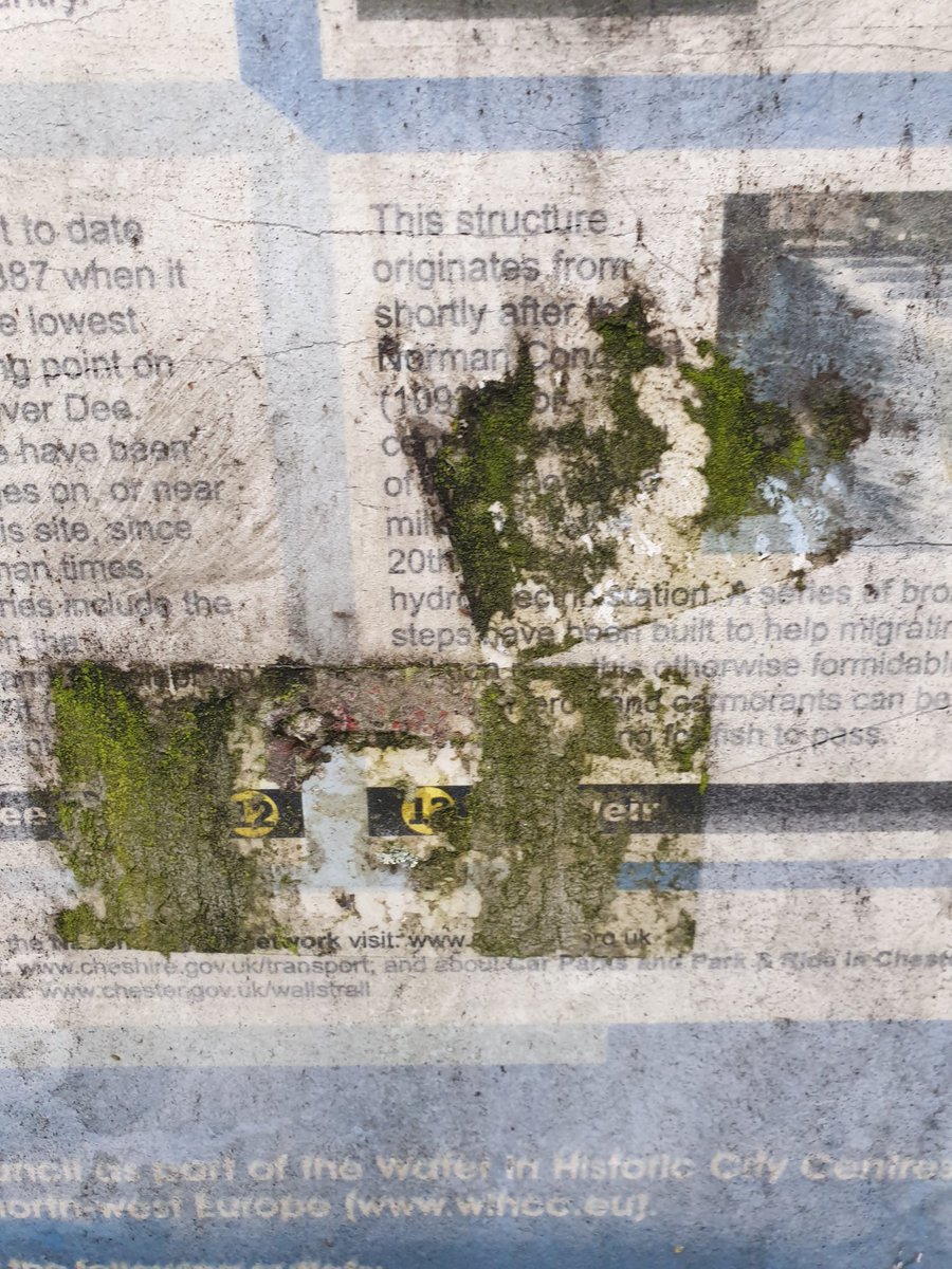 Good to see the Grosvenor Bridge is now fixed, but the descriptive panels on the Cop and elsewhere along the side of the river could do with some TLC!