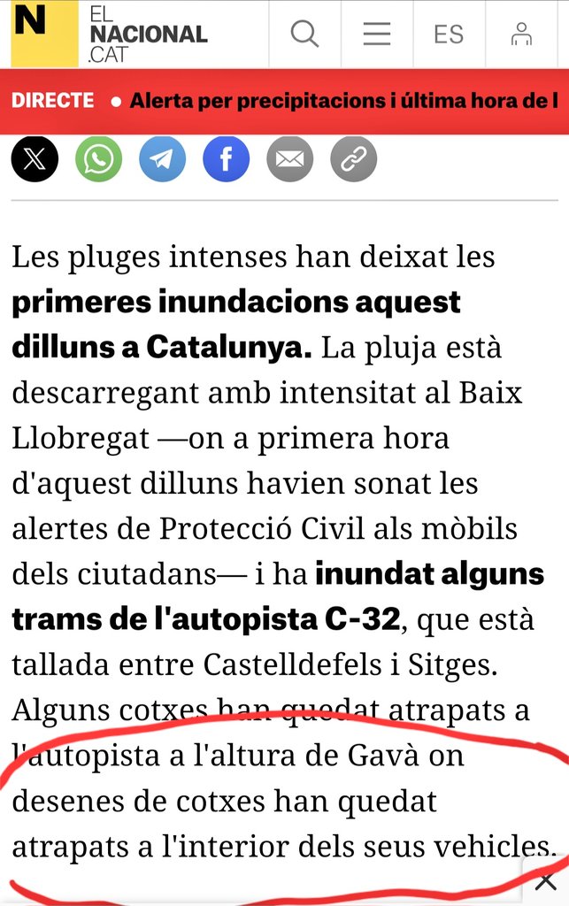 LoSerraller tweet media