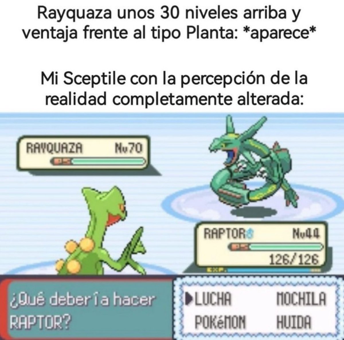 Por eso Sceptile es el GOAT de hoenn