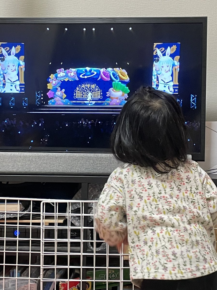 bearzou0's tweet photo. 娘ちゃんと「うさぎ The MEGAMI」を鑑賞🐰✨
最前列でしっかり楽しんでる姿が可愛い♡
いつか本物に会いに行けるといいねー

でも、画面近すぎる😅

 #野ウサギ同盟 https://t.co/lJQE4PYYUR