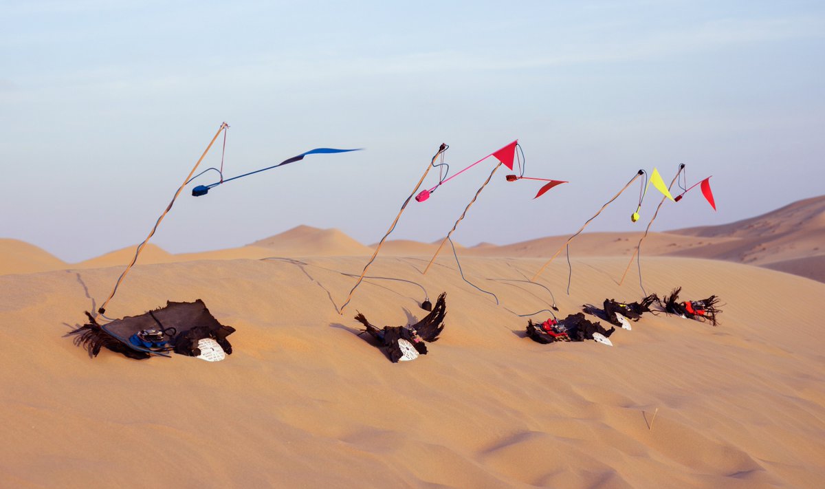 NYU Abu Dhabi tweet media