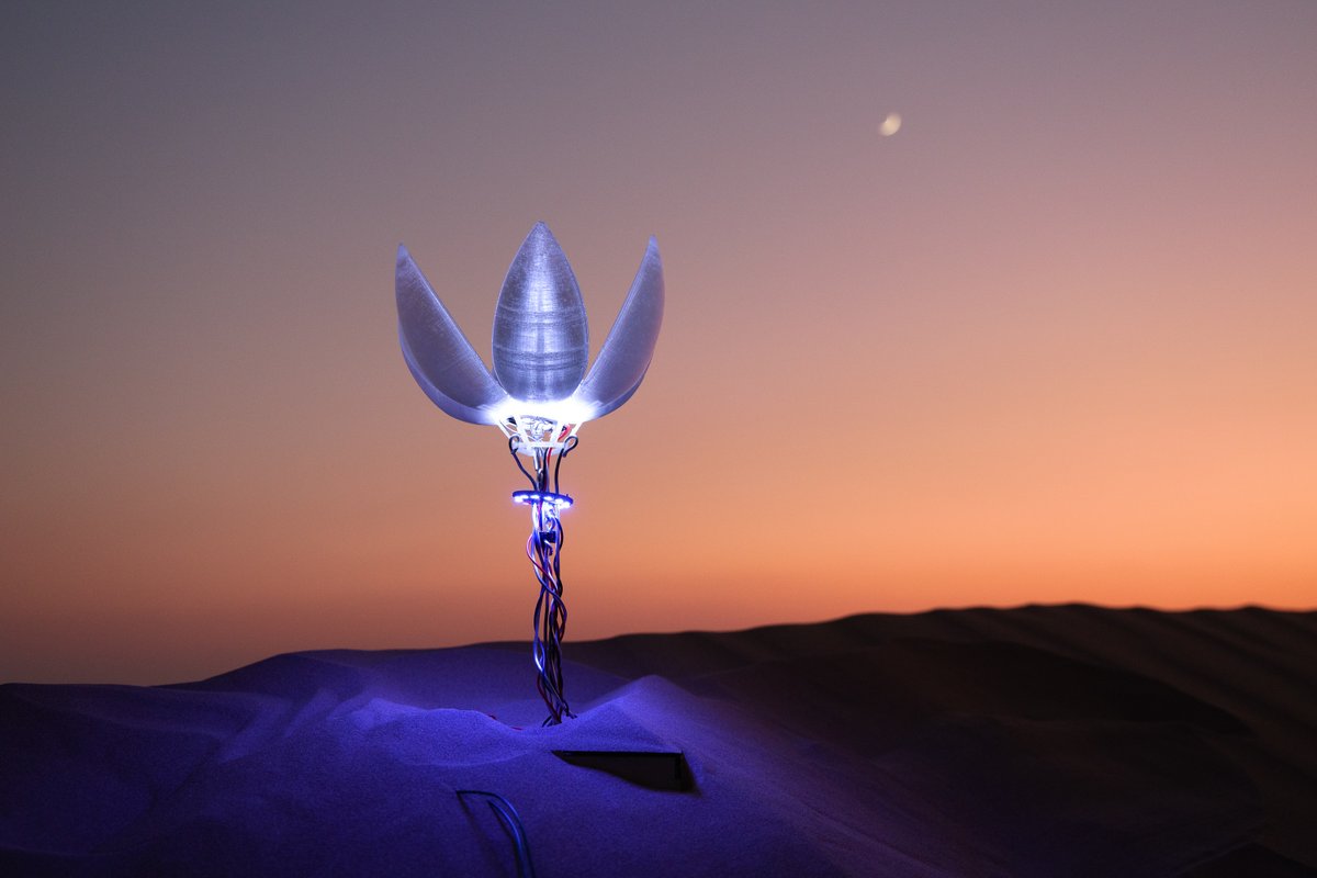 NYU Abu Dhabi tweet media