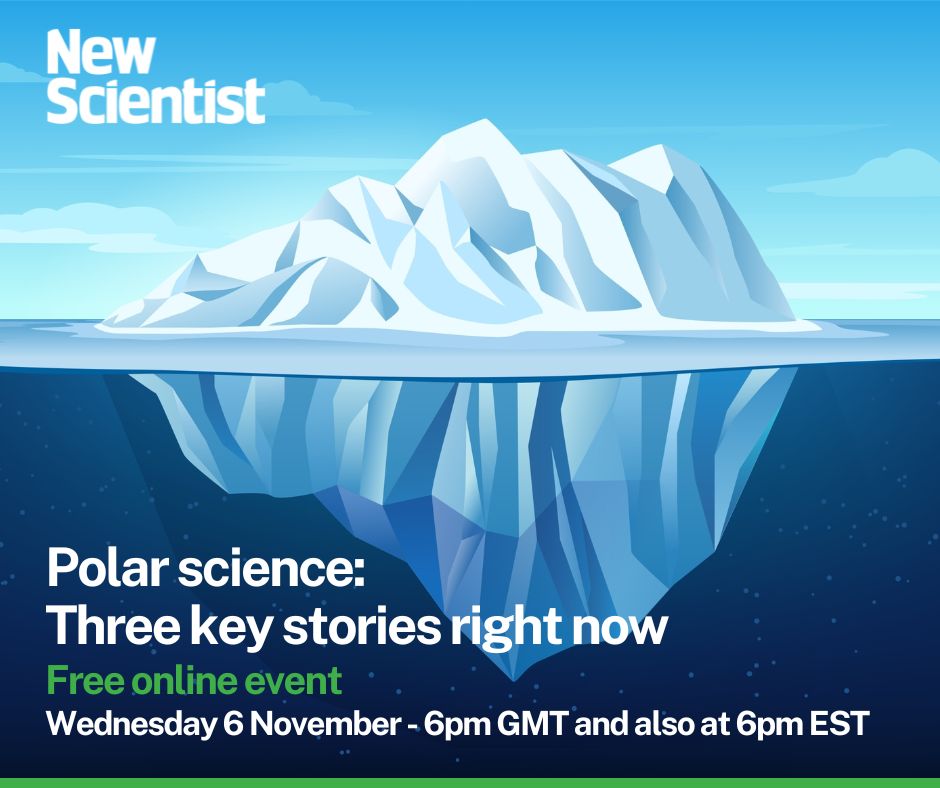 NS Discovery tweet media