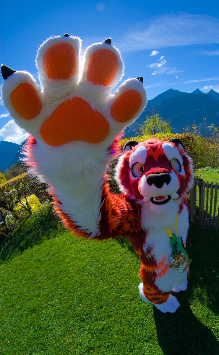 Oposum8's tweet photo. My Top 4 photos of @goldenleavescon 2024.

Really enjoying to experiment with the 8mm Fisheye lens.

#furry #fursuit
More pictures and Suiters on Furtrack https://t.co/ub1dJta2tL https://t.co/BayZrQ3Qqr