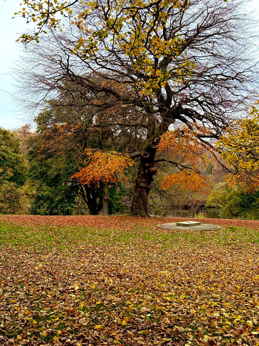 Back to Blighty and back to the routine. Managed to sneak in a quick run immediately after dropping the monster off at school. Slightly different climate to Dubai! Just need to drop 10mins from my 5k time and then repeat it 8 times in a row- 6months left. Easy, right?! 🤣🤣🤣