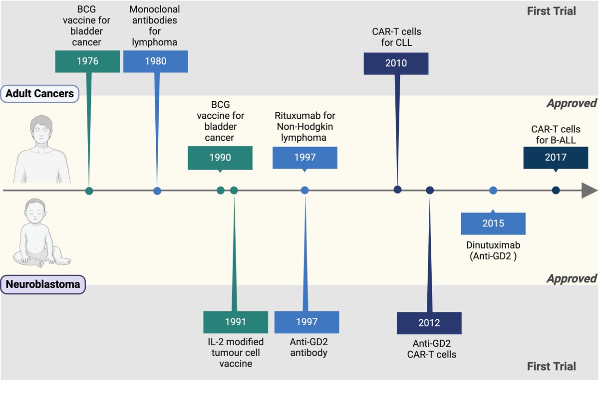 Cancer Bioengineering Group (@cancerbioengrg) on Twitter photo 🧵 Hot off the press: <a href="/Ellen_King/">Ellen King</a> & <a href="/RonjaStruck/">Ronja Struck</a> reviewed a three-part approach to tackle these challenges:
Tumour Antigen Discovery 🧬
Immunomodulation 🔬
3D in vitro Neuroblastoma Models 🧫
Read more: sciencedirect.com/science/articl…
Funded by <a href="/IrishResearch/">We are now Research Ireland</a> <a href="/hrbireland/">HealthResearchBoard</a> 🧵 Hot off the press: <a href="/Ellen_King/">Ellen King</a> & <a href="/RonjaStruck/">Ronja Struck</a> reviewed a three-part approach to tackle these challenges:
Tumour Antigen Discovery 🧬
Immunomodulation 🔬
3D in vitro Neuroblastoma Models 🧫
Read more: sciencedirect.com/science/articl…
Funded by <a href="/IrishResearch/">We are now Research Ireland</a> <a href="/hrbireland/">HealthResearchBoard</a>