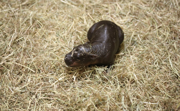 LBC News Scotland tweet media