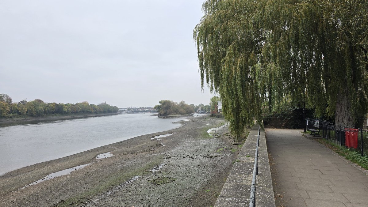 Ellie & Stefan 👫| Berkeley Square Barbarian tweet media