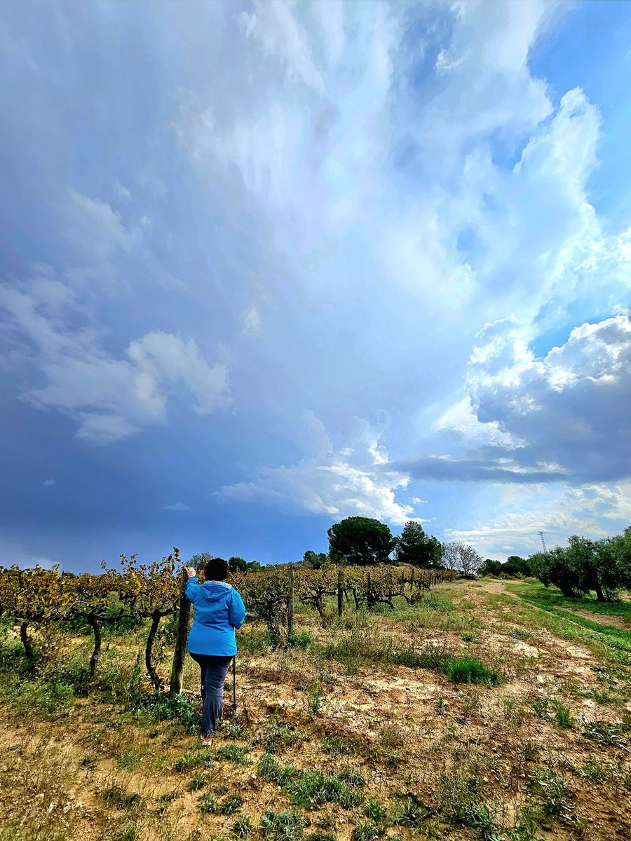 Ens segueix sorprenent com de bella i terrible pot ser la natura al mateix temps.
#tempestes #tardor2024 #penedès