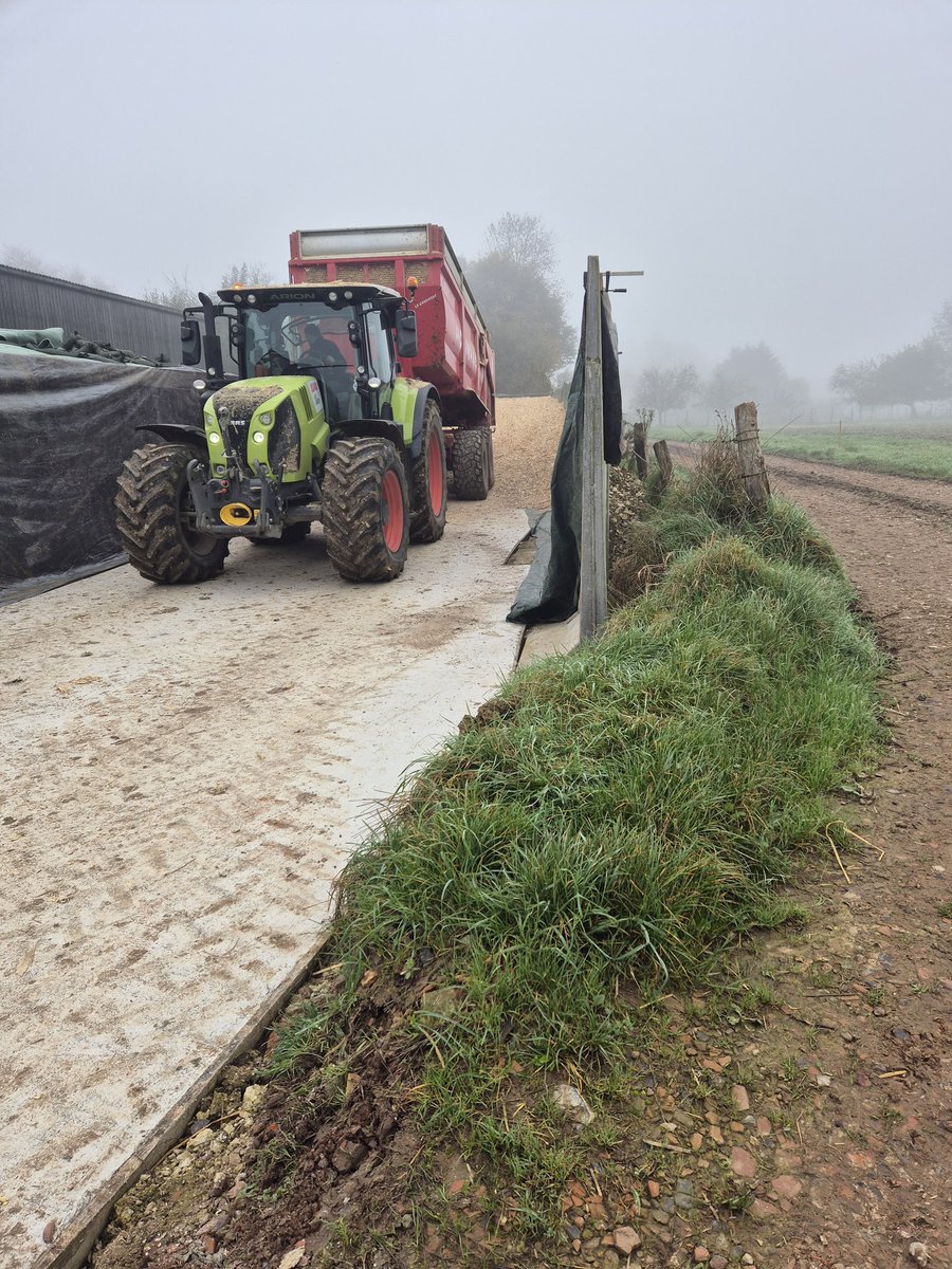 Mais épi 2024 c'est partie sous ce brouillard qui ne veux pas ce levé 
#ceuxquifontlelait
#ceuxquifontlaviande