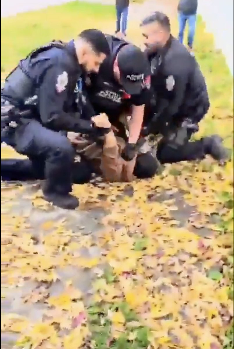 What the hell is happening in Canada?!

Why was a Hindu teenager brutally beaten by Khalistani extremists—and shockingly, even by the Canadian police—simply for standing up against an attack on a temple?

Why are local cops engaging in physical altercations with peaceful members