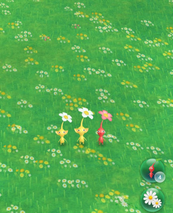 6mixxbbl's tweet image. 241104 🐻🫧 7:16PM

🐻 📸
🐻 I sent one on an adventure