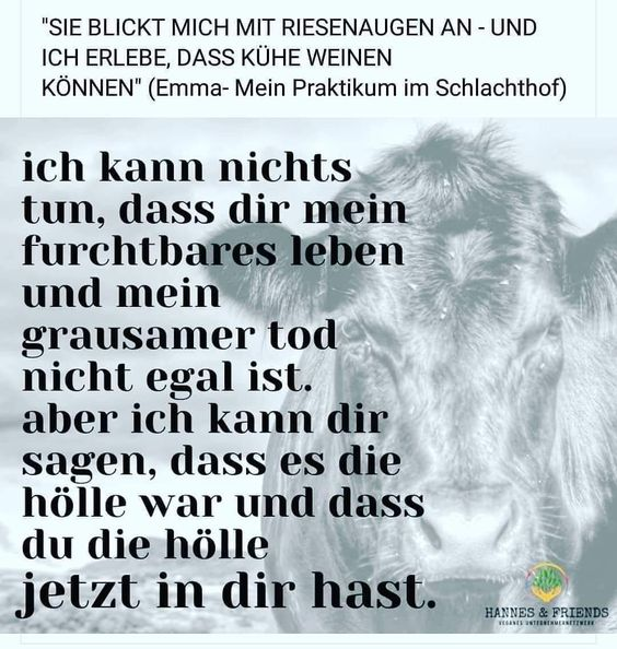 Tobi Auer tweet media
