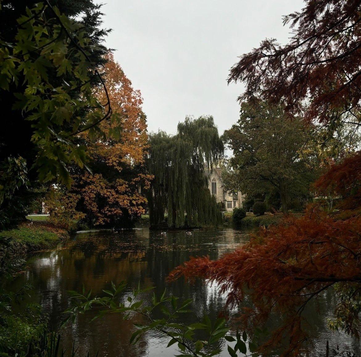 Cloudy november ☁️☔