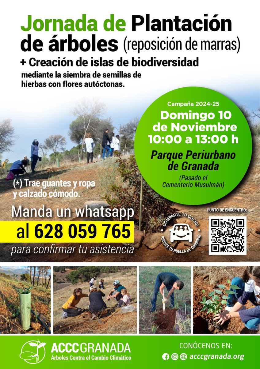 🌲🌲Árboles Contra el Cambio Climático Granada🌳🌳 (@acccgranada0) on Twitter photo 