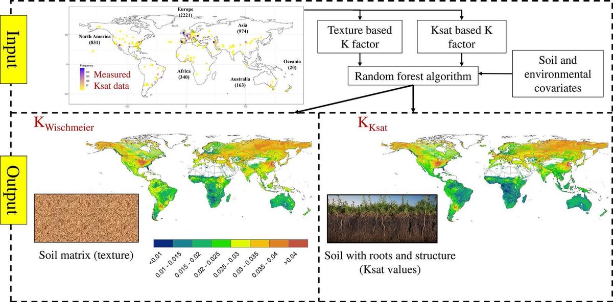 A recent study is improving our understanding of #soilerosion around the globe.

This enables more accurate predictions, especially in tropical regions, helping us better understand and manage soil loss.🌍💧

Read here #openaccess: doi.org/10.1016/j.scit…