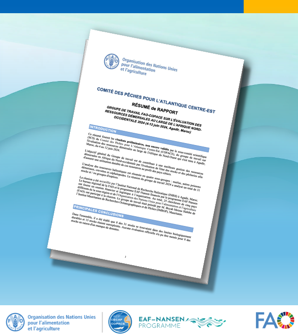 FAO_CECAFCOPACE's tweet photo. 📢Rapport de synthèse 
#COPACE Groupe de travail- les ressources démersales de l'Afrique du Nord-Ouest 2024

🔍Consultez les résultats préliminaires (non encore validées) de l'évaluation des stocks. Soutenu par le #EAFNansen et #INRH, Maroc

🔗 https://t.co/K013UWrMdx https://t.co/oZkoYIfNgj