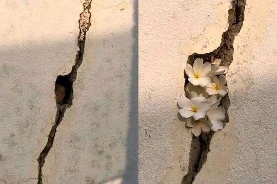 "Zaman zaman çatlarız, içimize ışık girsin diye."