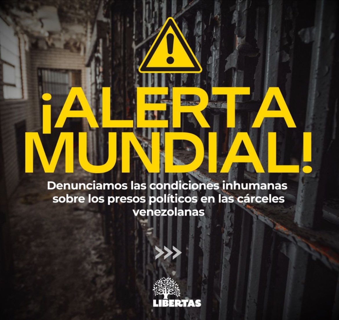 zulima del valle Quiñones tweet media