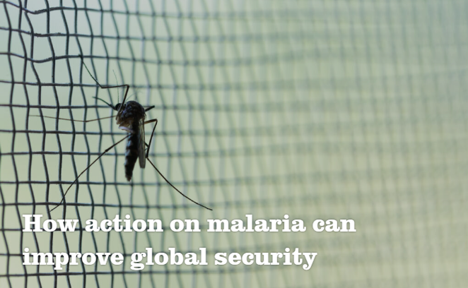 invectorcontrol's tweet photo. 📢 Read @AstridBonfield’s op-ed in @Politics_co_uk on how #malaria action can boost global security 🌍 IVCC’s CEO Justin McBeath contributed to the related @MalariaNoMoreUK pamphlet. Explore both pieces below:
Op-ed: https://t.co/pwTphmwUEf
Pamphlet: https://t.co/k1fmjpFzMy https://t.co/4v5ARuLHBG