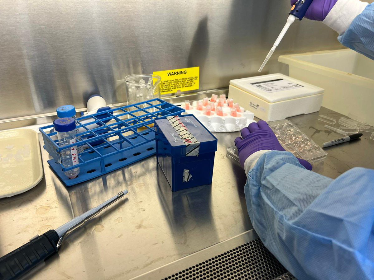 TONIGHT our “Aging Beyond Earth” organoids will be sent out to the ISS on the <a href="/SpaceX/">SpaceX</a> -31 shuttle at <a href="/NASA/">NASA</a>  at Cape Canaveral 🚀🛰️☄️

The samples were SUCCESSFULY loaded into the IceCubes as you can see in the images below! 

Stay tuned for the updates on the launch this evening!
