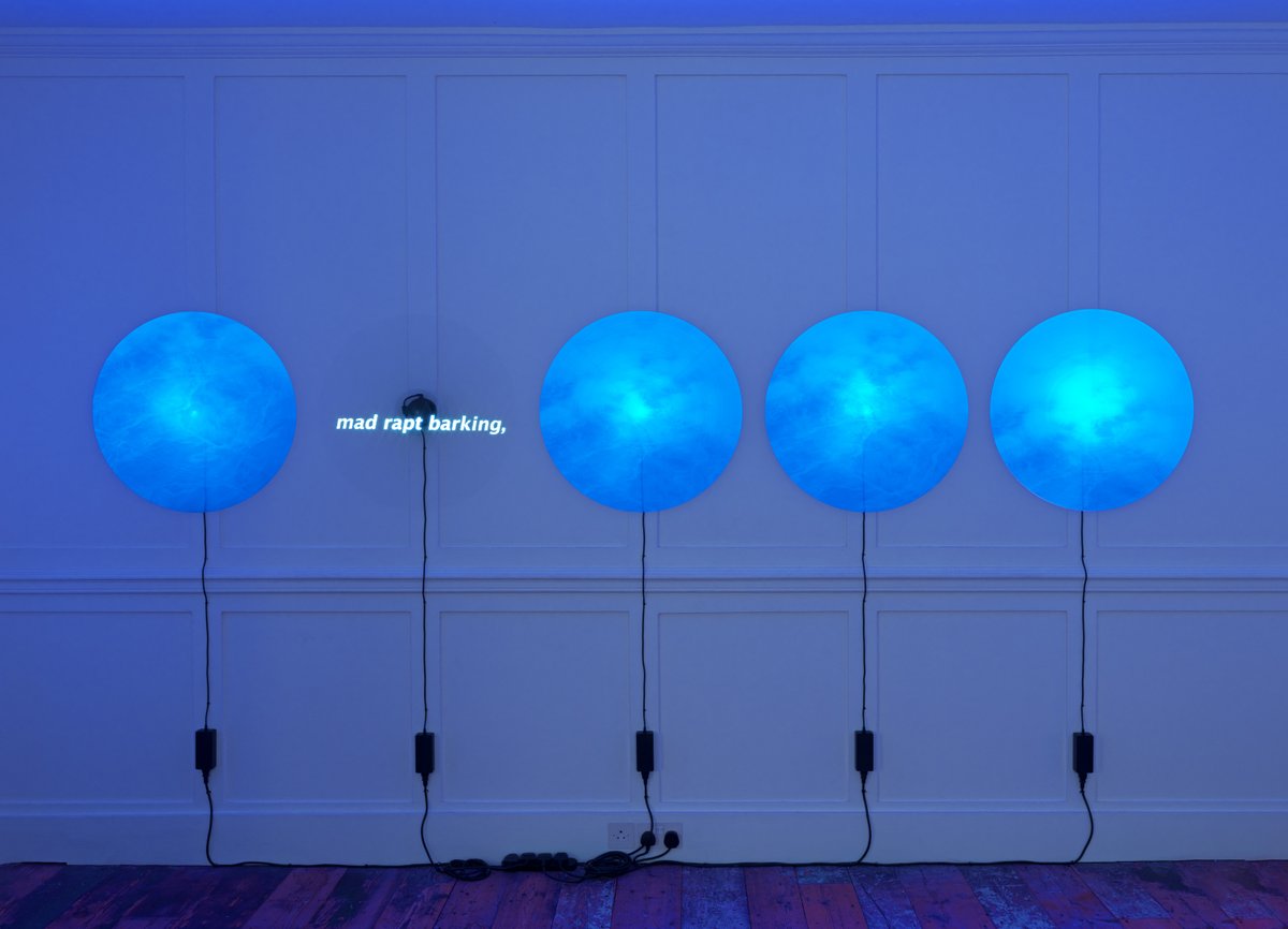 Chronoplasticity Exhibition Tours
Thursday 7 and Friday 8 November, 6.30pm

Join Lars Bang Larsen, curator of Chronoplasticity, for a guided tour of the exhibition.

Places are free but very limited. Book and find out more: eventbrite.co.uk/e/chronoplasti…