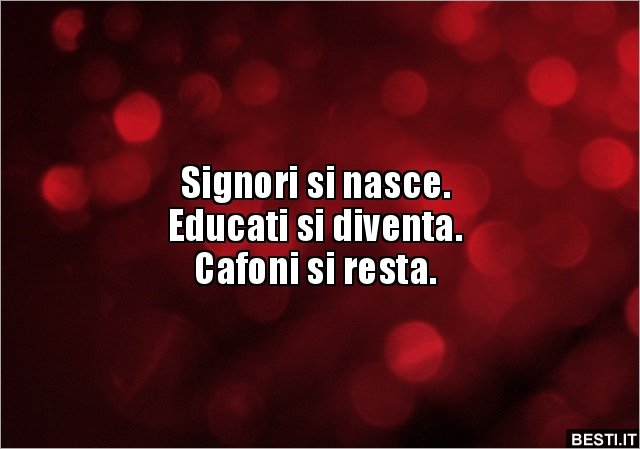 FrancescaBusca7's tweet photo. Questo e per quelle persone...che ieri e oggi hanno scritto cazzate brutte su di me su un minore e su persone col cuore che mi hanno difeso...vi avviso non venite a rompere le palle perché e l'ultima volta che vi cago...#donnalisi https://t.co/W23DOn9SS9
