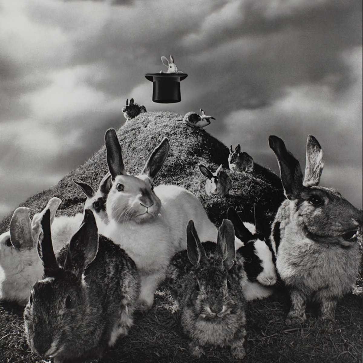 William Sheehan (@william17806283) on Twitter photo 