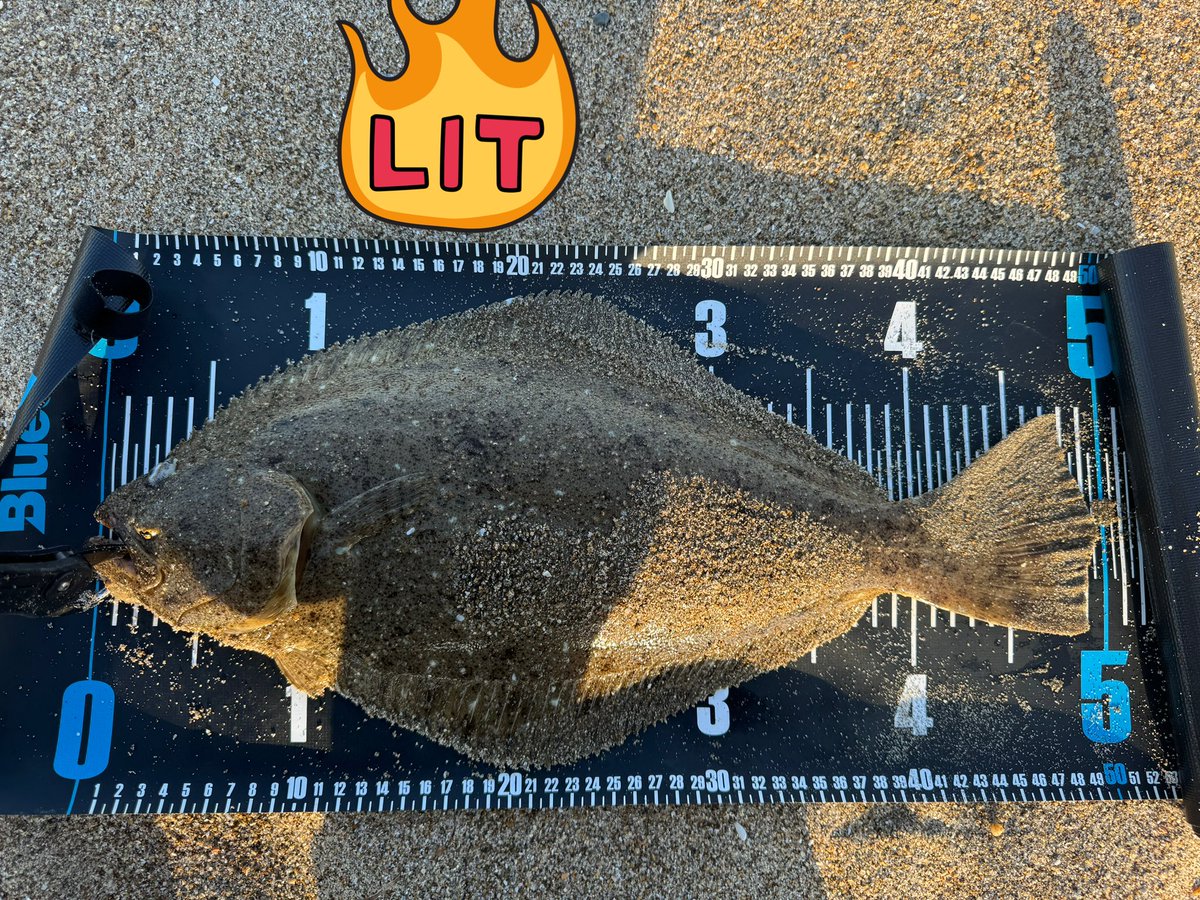 11月なのに暑いくらいでした🥵

#常磐サーフ
#いわきサーフ
#相馬サーフ
#福島サーフ
#仙南サーフ
#仙台サーフ
#ブルーストーム