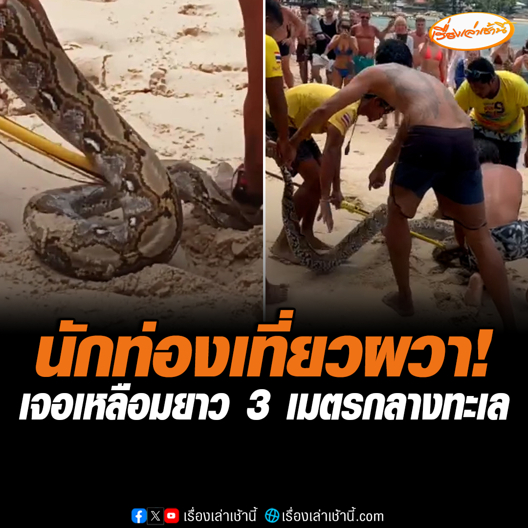 นักท่องเที่ยวผวา นอนอาบแดด น้ำอยู่ดีๆ เจองูเหลือมยักษ์ยาวกว่า 3 เมตร ลอยตัวทีหาดกมลา จ.ภูเก็ต เจ้าหน้าที่ไล่จับระทึก นำปล่อยคืนสู่ป่าต่อไป

#เรื่องเล่าเช้านี้ #ข่าวช่อง3 #ข่าวภูมิภาค #ภูเก็ต https://t.co/iMePUsoSmc