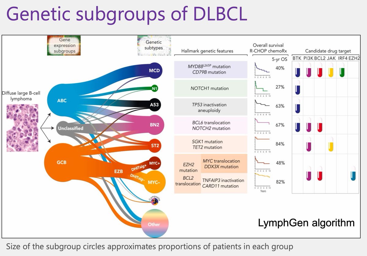 MorphologyAmigo's tweet photo. A bit of High Grade Lymphoma Genomics to start your Monday Morning👇👇

The More you dig deeper - The More Interesting the Landscape Gets 😜

How deep does the rabbit hole go to Wonderland 🤔🤔
https://t.co/EFzMAKj6ab
#hematology #lymsm #hemepath #medtwitter https://t.co/WZTCM5PtCm