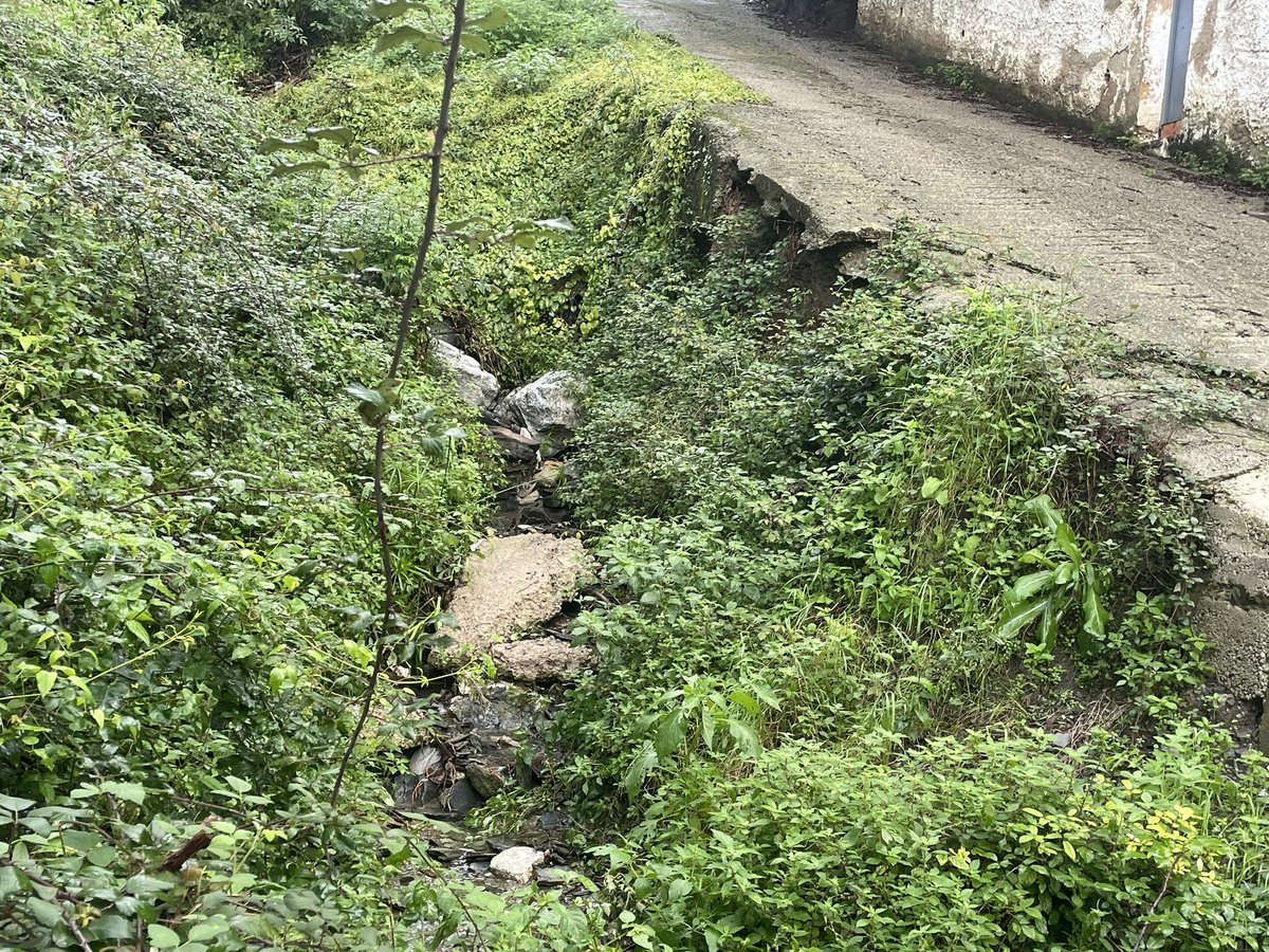 INTERVENCIÓ URGENT CARRER MALVA. És molt difícil, solucionar el que és bàsic? #sarria FAAARTS! #Collserola #Barrisdemuntanya #sstg <a href="/MariaEugeniaGay/">Mª Eugènia Gay</a> <a href="/pep_baro/">Pep Baró Puigvert</a> <a href="/BlasNavalon/">Blas Navalón</a> <a href="/Bcn_SSTG/">Sarrià - Sant Gervasi</a> <a href="/DavidBondia/">David Bondia</a> <a href="/sindicdegreuges/">Síndic de Greuges</a> <a href="/parcncollserola/">Parc Natural de Collserola</a> <a href="/btvnoticies/">btv notícies</a>