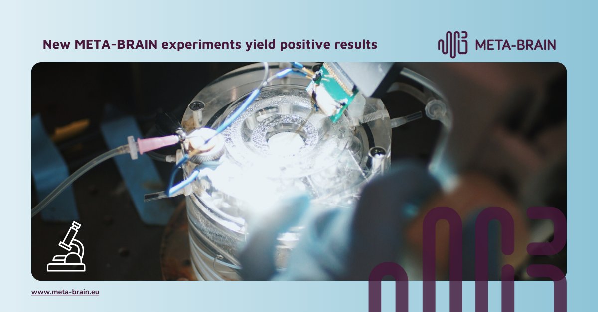 MetaBrain_EU's tweet photo. 💥 New #metabrain_eu experiments yield positive results!

🧠 Researchers Nathalia Cancino from @idibaps and @hangsquared from @ETH_en collaborated on a series of experiments.

➡ All info here: https://t.co/0SOabTKLr3

#Neurotechnology #NeuroModulation #BrainModulation https://t.co/W5Q29veRUr