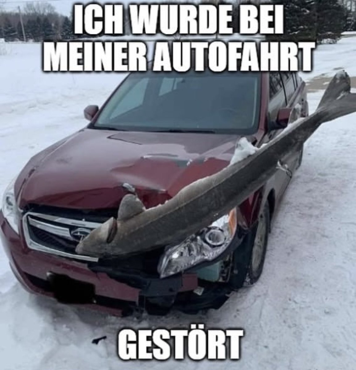 Und so kann man mit Schwung 🕺 und guter Laune 😜 in die Woche starten. Frohen Montag  wünsche ich euch 🎉