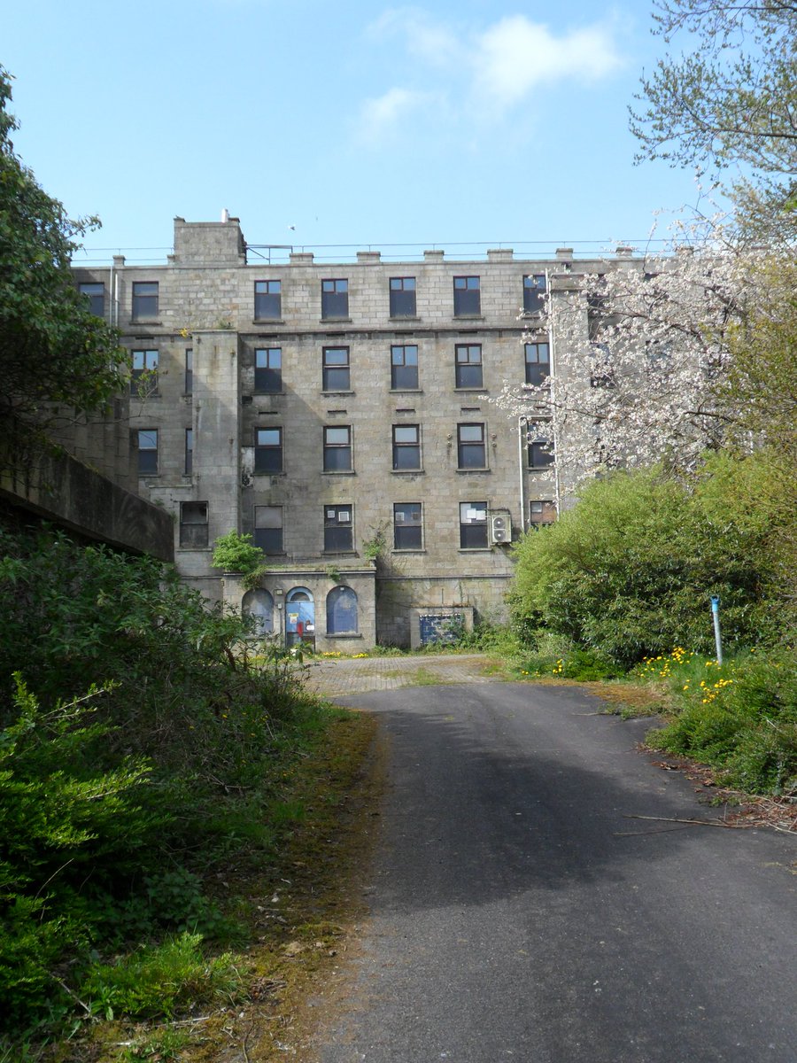 Anna Marie Savage tweet media