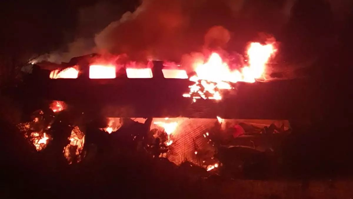 57 θέματα για τα Τέμπη σε 57 λέξεις:
Πόσα θύματα κάηκαν ζωντανά
Από τα 57 θύματα, 30 βρέθηκαν απανθρακωμένα, χωρίς αυτό να σημαίνει ότι η αιτία θανάτου για όλα αυτά ήταν η πυρκαγιά. Με βάση τις ιατροδικαστικές αναλύσεις, μόνο για ένα προκύπτει ότι σίγουρα κάηκε ζωντανό. Σύμφωνα