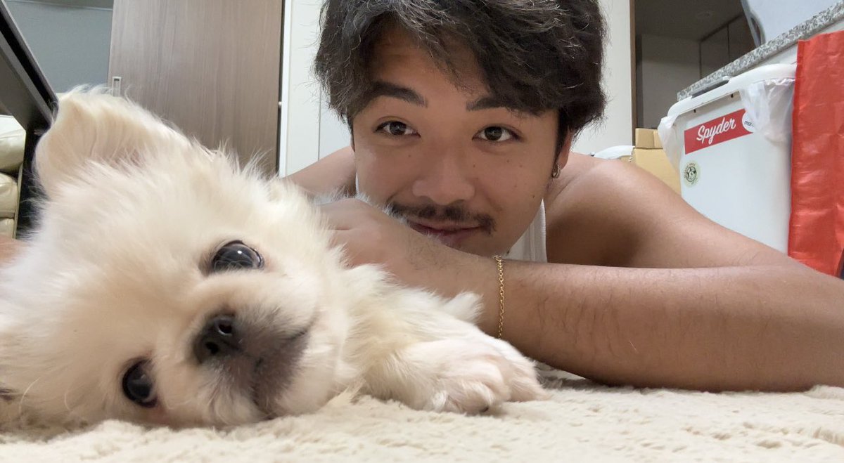 Post by ガチヤマ【ESPOIR TRIBE】 on X: よろしく🐶