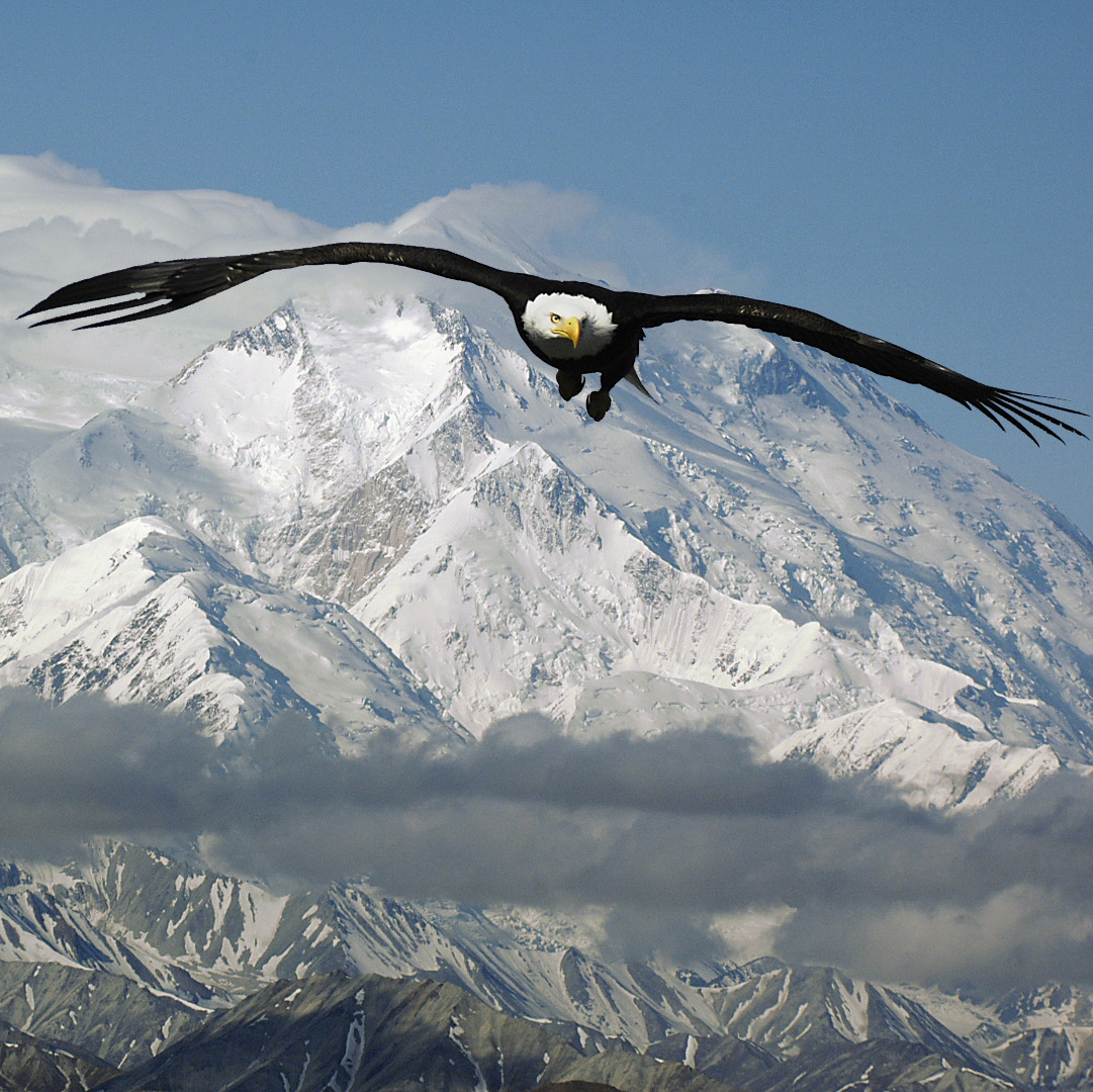 🛳️❄️ Neu bei MSC Cruises: Abfahrten nach Alaska! ❄️🛳️

News: MSC Cruises hat erstmals 7-Nächte-Routen nach Alaska angekündigt, buchbar bei uns ab sofort! Von Mai bis September 2026 startet die MSC Poesia wöchentlich von Seattle und nimmt Kurs auf Alaska. #go7seas #kreuzfahrt