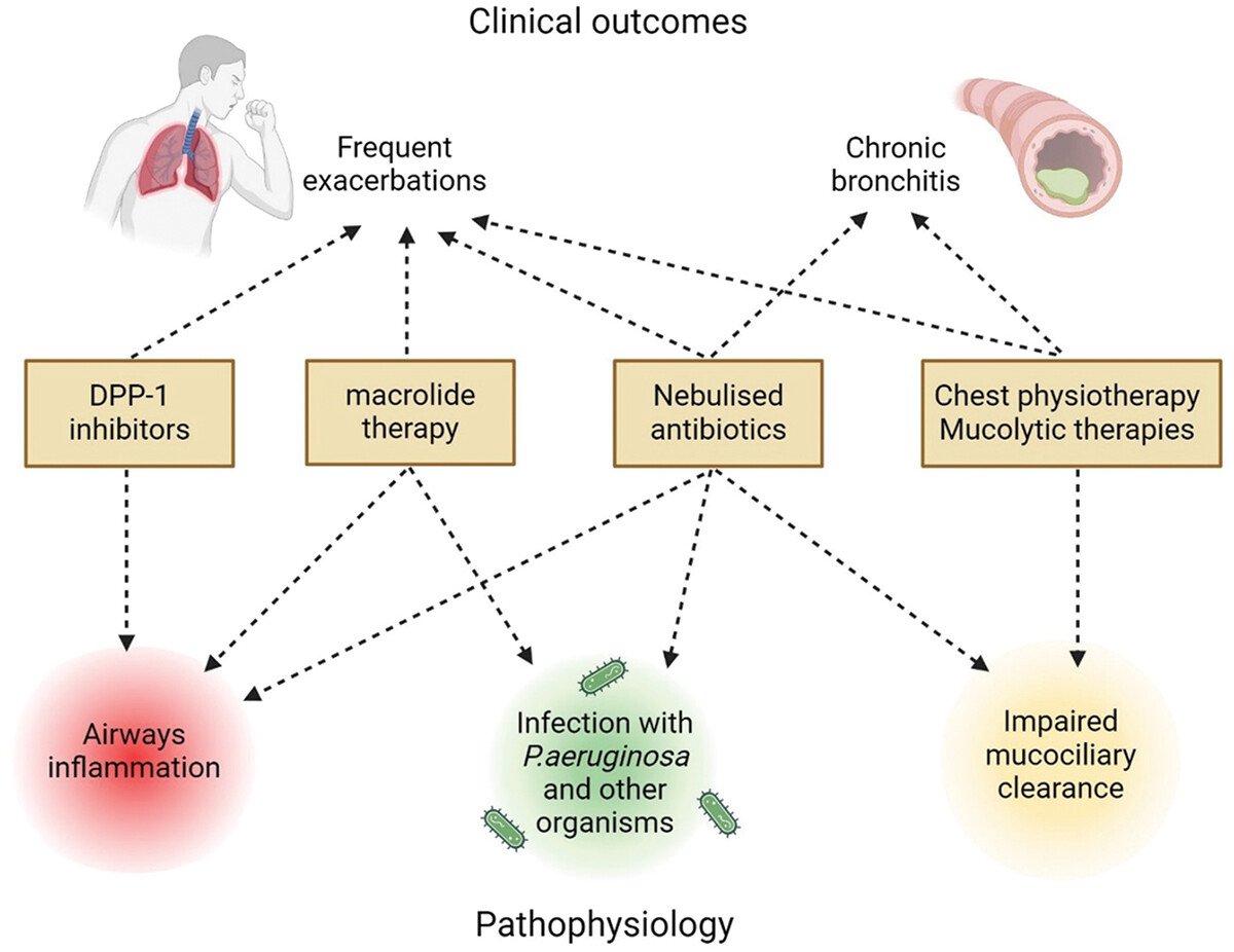 James D Chalmers (@profjdchalmers) on Twitter photo What is the future for inhaled antibiotics?
New paper just published from the brilliant <a href="/emma_d_johnson/">Emma Johnson</a> explores inhaled antibiotic trials, future directions and how these treatments might fit into an evolving landscape
tandfonline.com/doi/full/10.10… What is the future for inhaled antibiotics?
New paper just published from the brilliant <a href="/emma_d_johnson/">Emma Johnson</a> explores inhaled antibiotic trials, future directions and how these treatments might fit into an evolving landscape
tandfonline.com/doi/full/10.10…